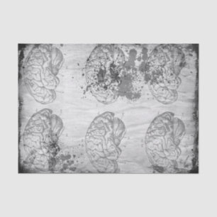 Papel seda decaído 10" de Brainz x 15"
