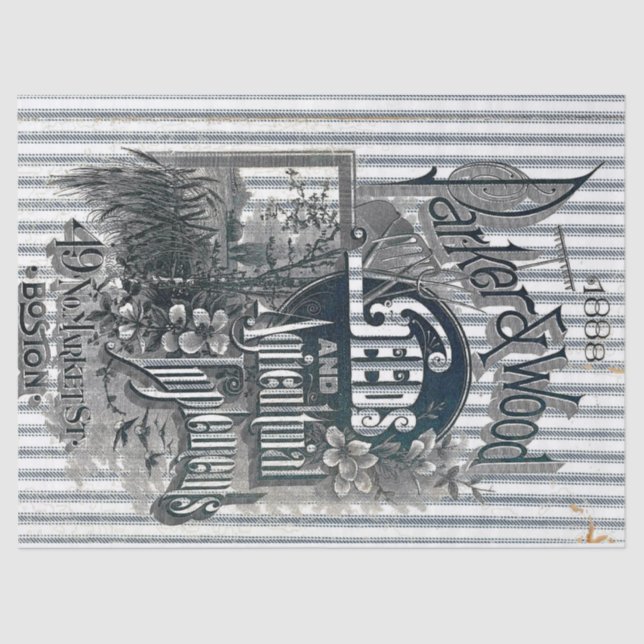 Papel seda del bolso de la semilla que hace tictac (Anverso)