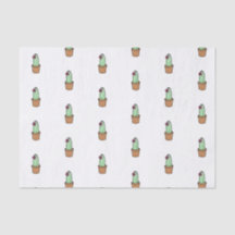 Papel seda del cactus