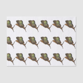 papel seda del caracol