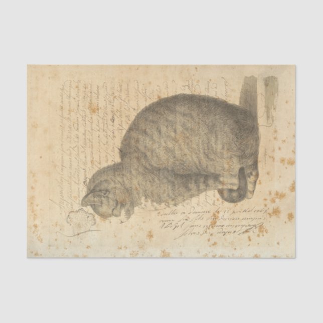 Papel seda del gato del vintage (Anverso)