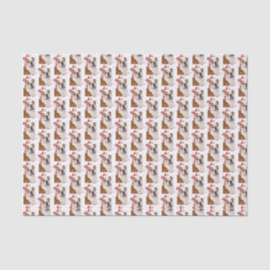 Papel seda del navidad del bulldog