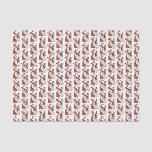 Papel seda del navidad del bulldog (Anverso)