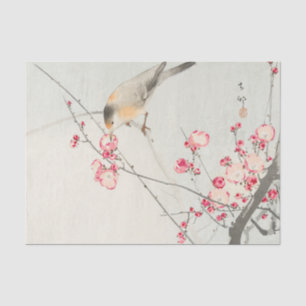 Papel seda del pájaro