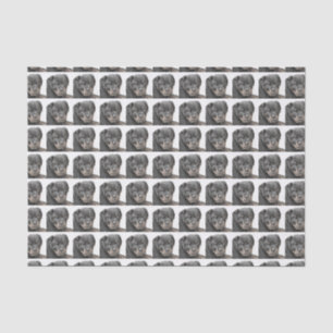 Papel seda del perro de Rottweiler