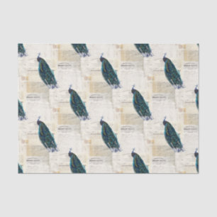Papel seda francés de las Ephemeras del pavo real