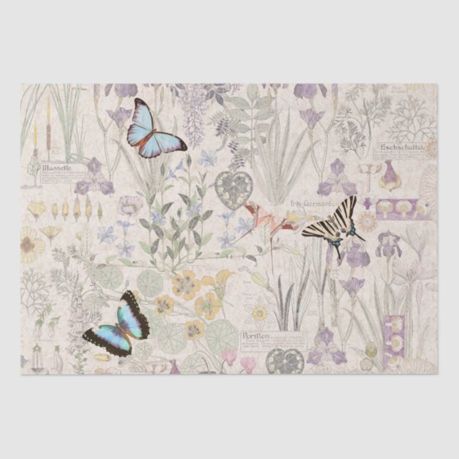 Papel seda francés de las flores de mariposa de (Anverso)