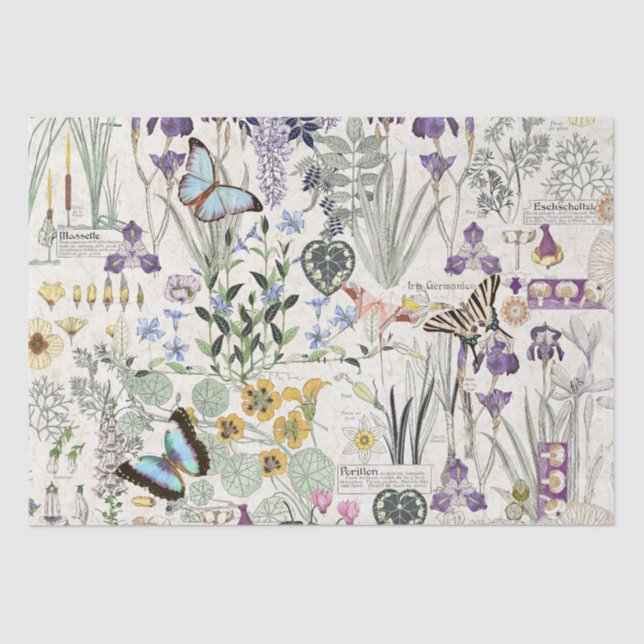 Papel seda francés de las flores de mariposa de (Anverso)