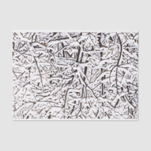 Papel seda hivernal de los árboles Nevado