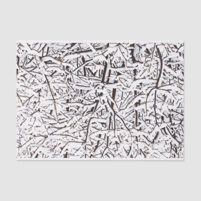 Papel seda hivernal de los árboles Nevado (Anverso)