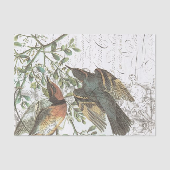 Papel seda No.508 del collage del pájaro del (Anverso)