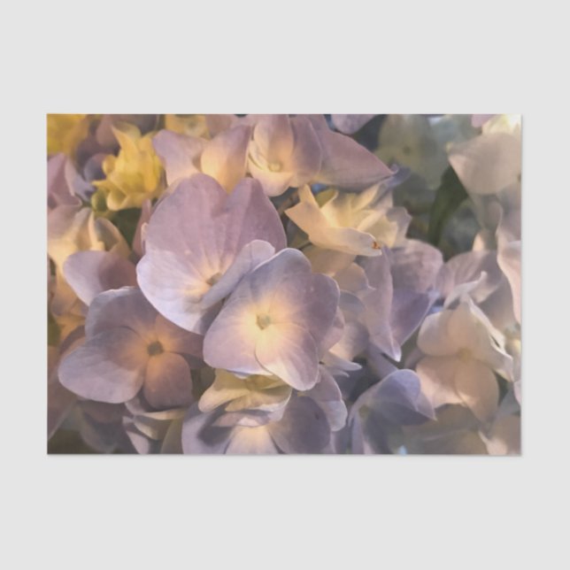 Papel seda púrpura de la flor (Anverso)