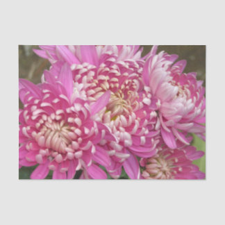 Papel seda rosado bonito