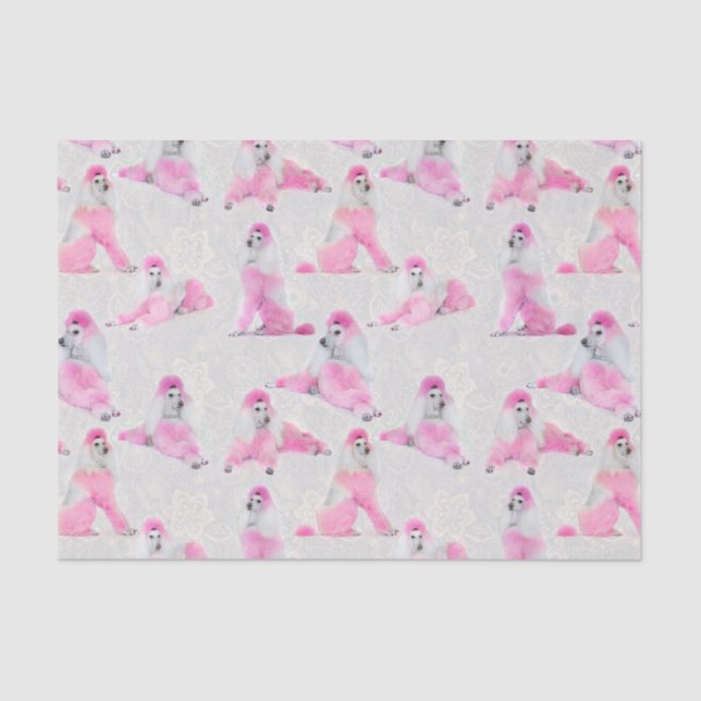 Papel seda rosado del caniche (Anverso)