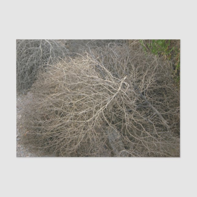 Papel seda rústico del Tumbleweed (Anverso)