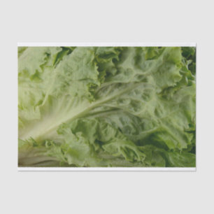 Papel seda verde de la lechuga de hoja