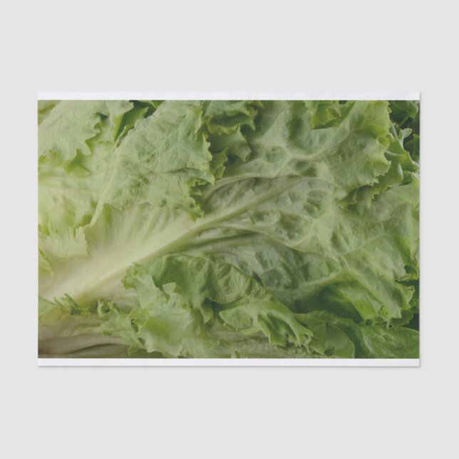 Papel seda verde de la lechuga de hoja (Anverso)