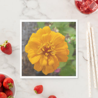 Papel Servilleta de cena para fiesta de jardín impresion