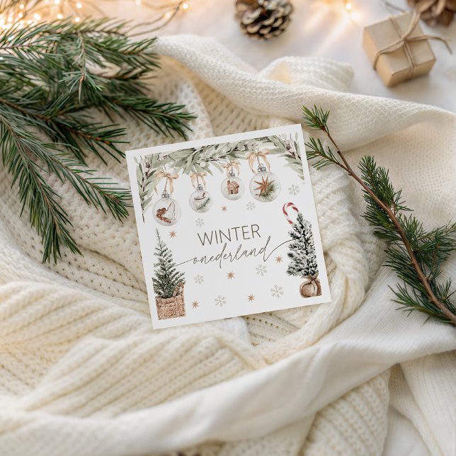 Papel Servilleta de fiesta Winter Onederland (Subido por el creador)