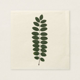 Papel Servilleta de la hoja del acacia