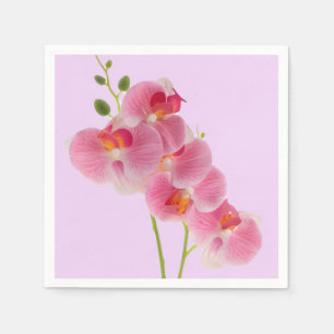 Papel Servilleta de Orquídea Pastel