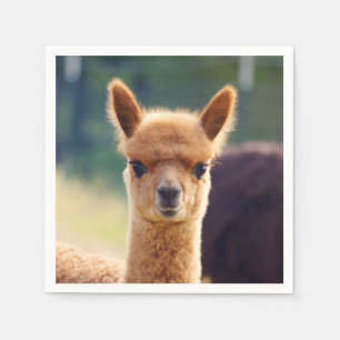 Papel Servilleta estándar del cóctel de la alpaca del