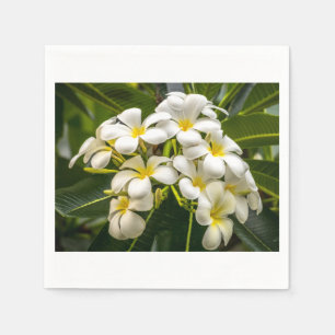 Papel Servilleta exótica del cóctel del Plumeria de la