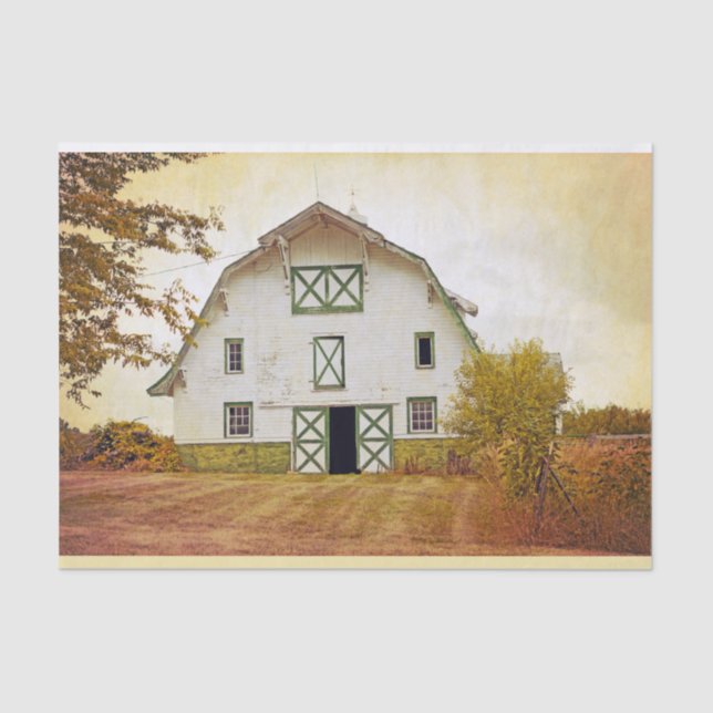 Papel tapicero envolver el país de la franja de so (Anverso)