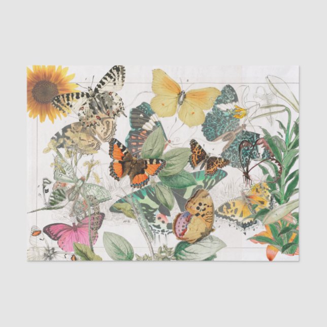 Papel tapicero girasol (Anverso)