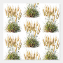 Papel tapiz de papel de la pared de la hierba mari