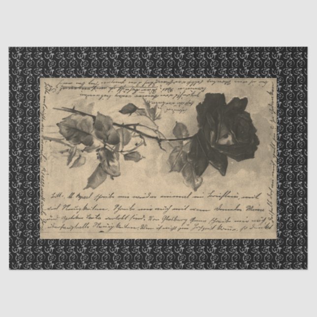 Papel tapón HALLOWEEN ROSA NEGRO (Anverso)