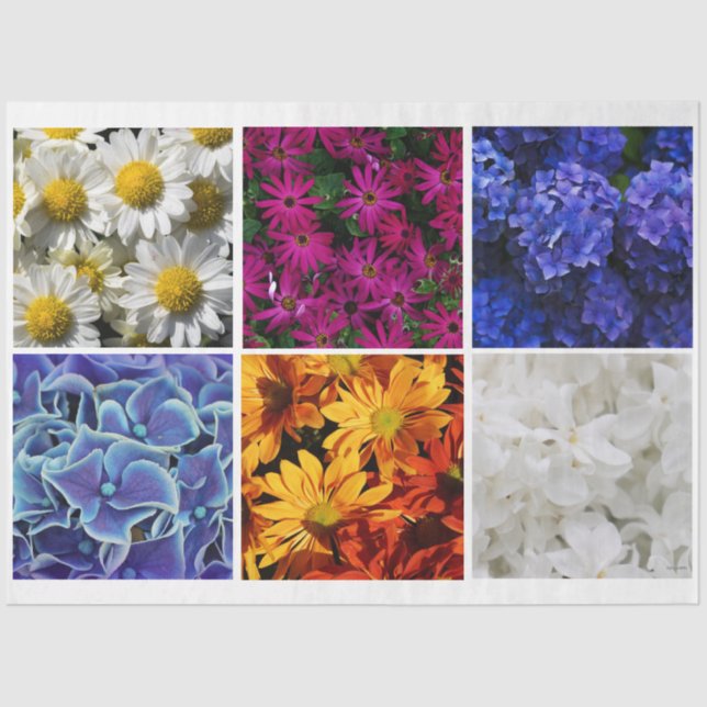 Papel Tejido fotográfico HAMbyWG (Anverso)