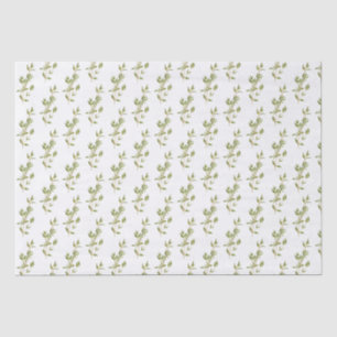 Papel Tejido FRESCO