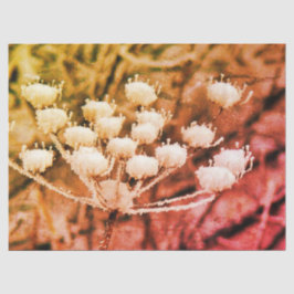 Papel Tejido + Papel de descomposición - Primer co