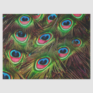 papel tisular de plumas de pavo real