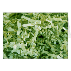 Papel verde triturado rayado foto en blanco dentro