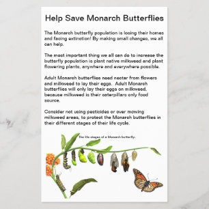 Papel volante de 4,5" x 5,6"