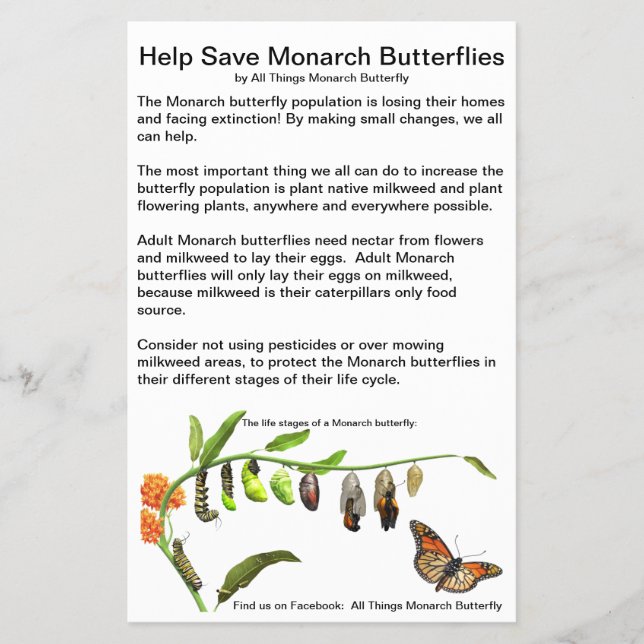 Papel volante de 4,5" x 5,6" (Frente)