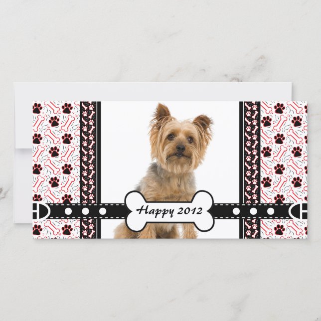 Papel y hueso de la tarjeta fotográfica de retrato (Anverso)