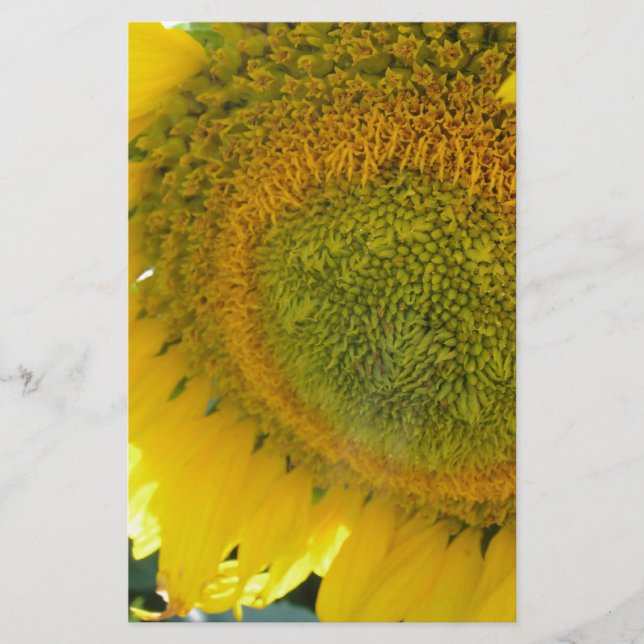 PAPELERÍA 057.JPG (Anverso)