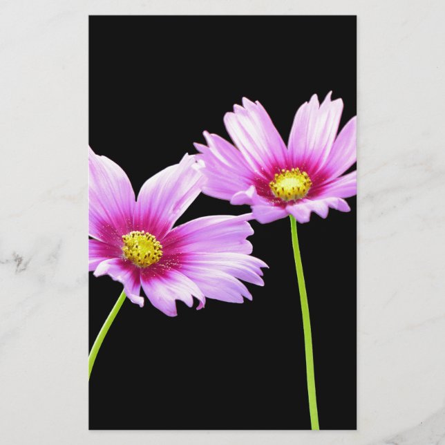 Papelería 2 Cosmos (Anverso)