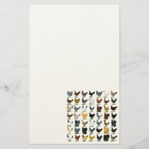 Papelería 49 gallinas