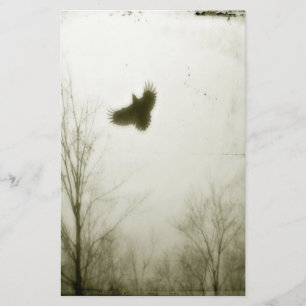 Papelería A Medida Que Vuela El Crow