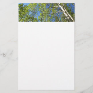 Papelería Abedules de verano en Rocky Mountain