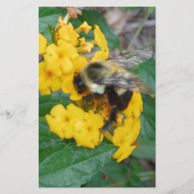 Papelería Abeja amarilla y negra en flor amarilla (Anverso)
