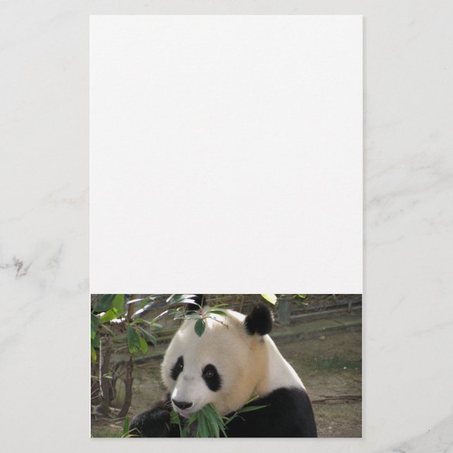 Papelería Abrazos de Oso Panda (Anverso)
