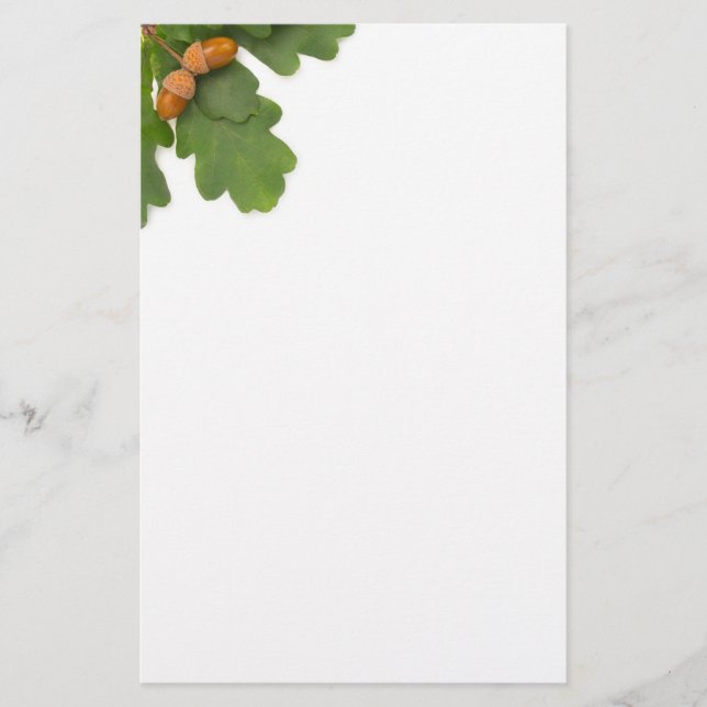 Papelería Acorns (Anverso)
