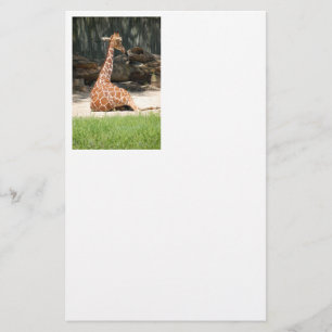 Papelería Adorable Sitting Giraffe