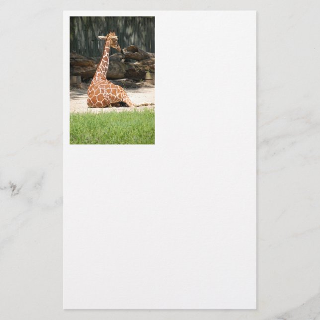 Papelería Adorable Sitting Giraffe (Anverso)