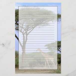 Papelería África, Botsuana, Delta del Okavango. Meridional